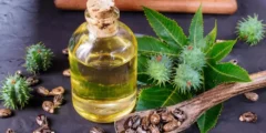 Benefits and harms of castor oil for hair, learn about them 2024