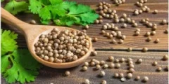 Benefits of coriander seeds for sex for men and women